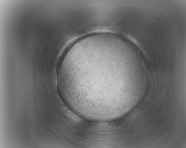 X0000063461408200602031822