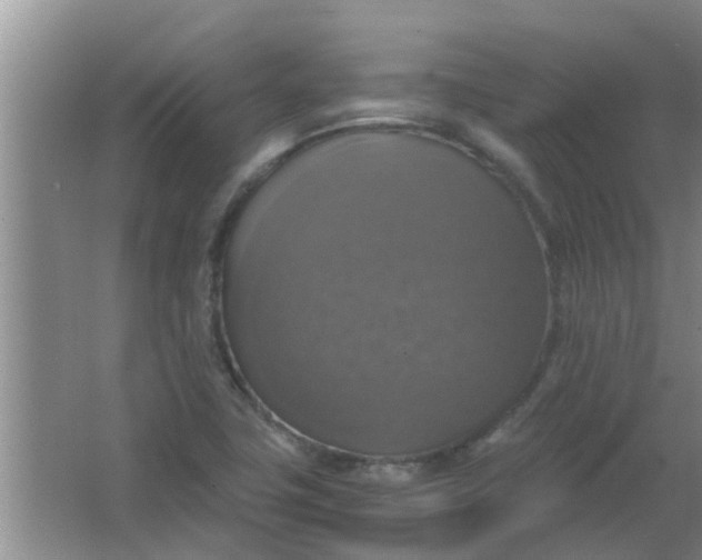 X0000063461411200602031822