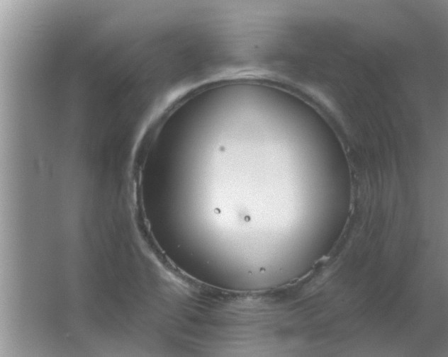 X0000063461414200602031822