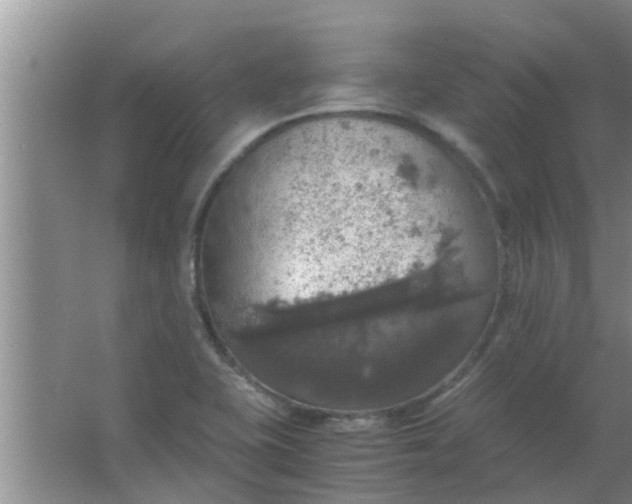 X0000063461415200602031822