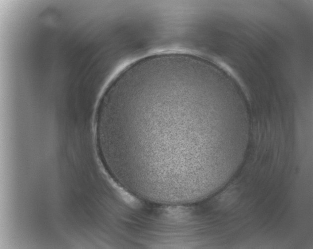 X0000063461416200602031822