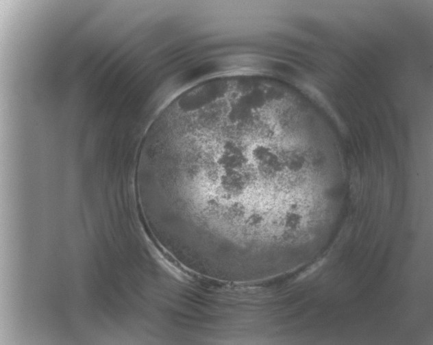 X0000063461417200602031822