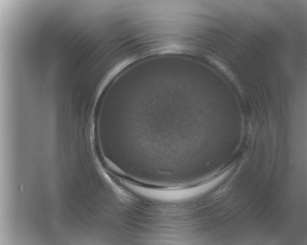 X0000063461418200602031822