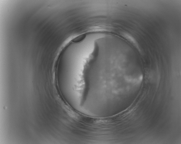 X0000063461419200602031822