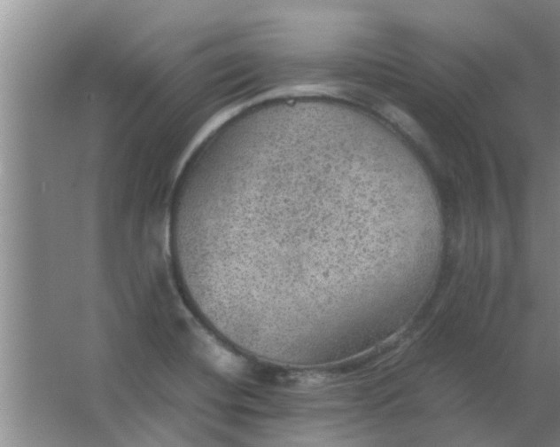 X0000063461420200602031822