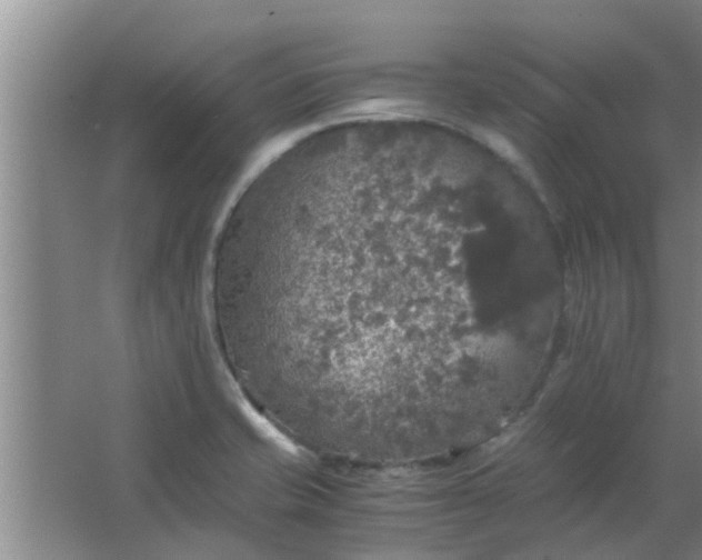 X0000063461421200602031822