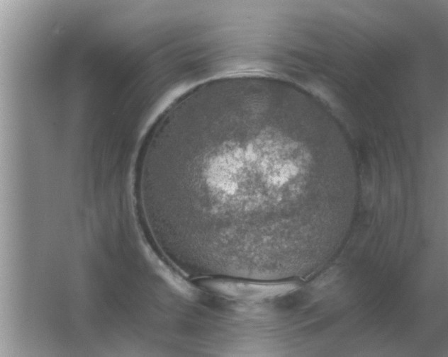 X0000063461422200602031822