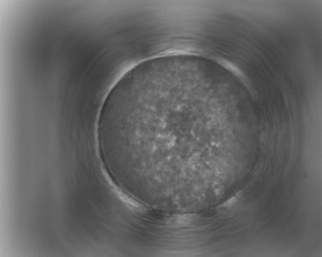 X0000063461423200602031822