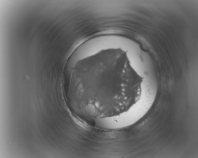 X0000063461425200602031822