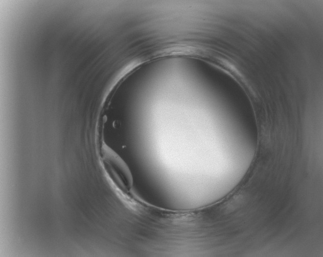 X0000063461426200602031822