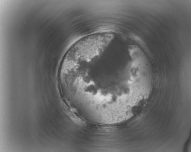 X0000063461427200602031822