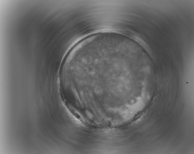 X0000063461428200602031822