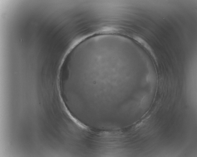 X0000063461429200602031822