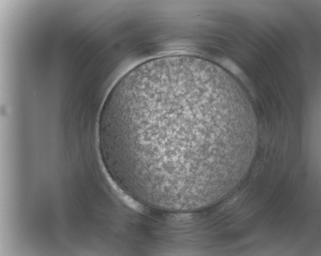 X0000063461431200602031822