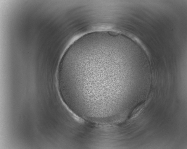 X0000063461432200602031822