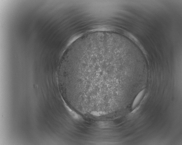 X0000063461433200602031822