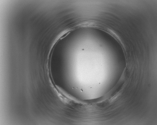 X0000063461434200602031822