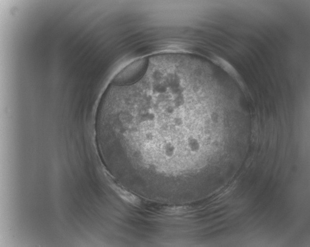 X0000063461435200602031822