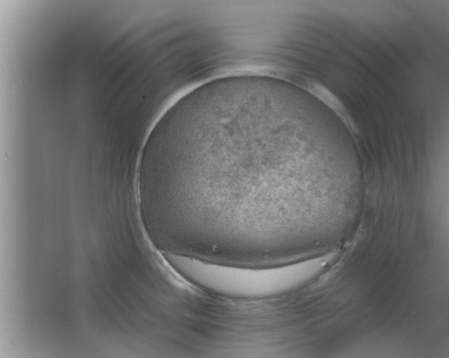 X0000063461436200602031822