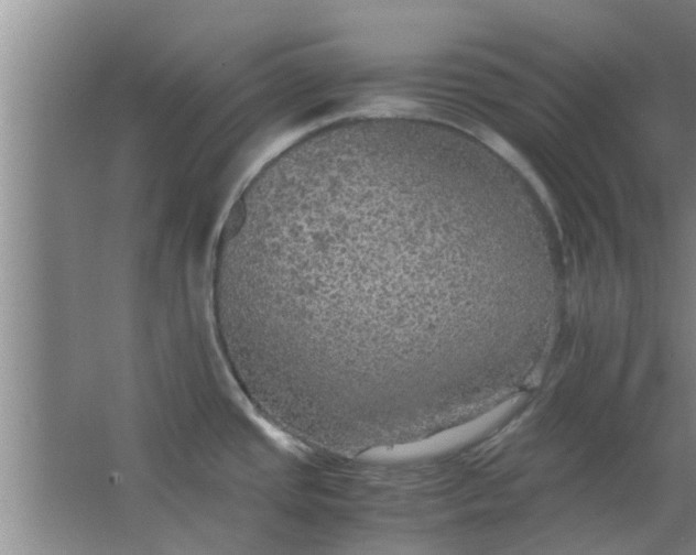 X0000063461437200602031822