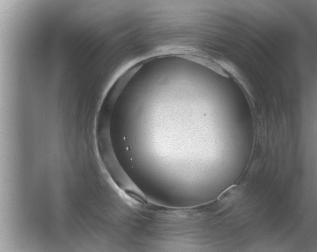 X0000063461438200602031822