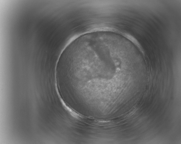 X0000063461439200602031822