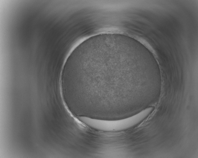 X0000063461440200602031822