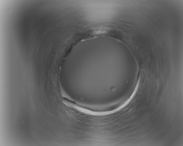 X0000063461441200602031821