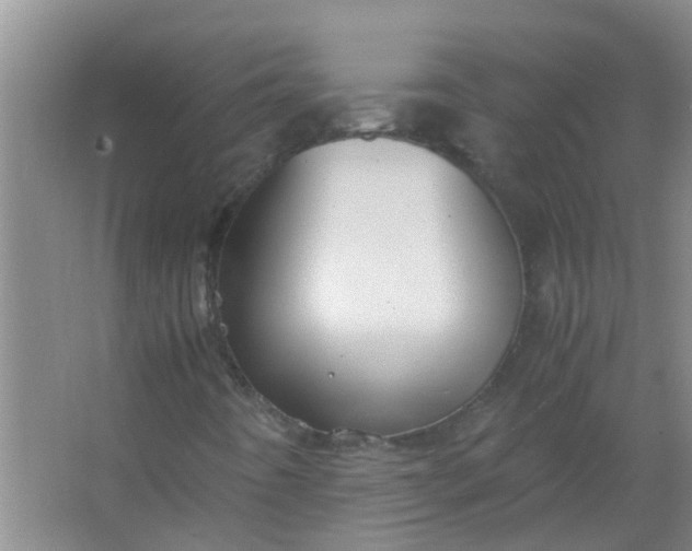 X0000063461442200602031821