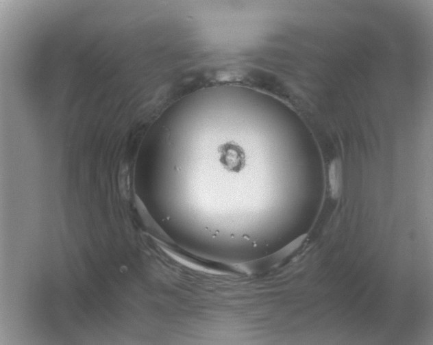 X0000063461443200602031821