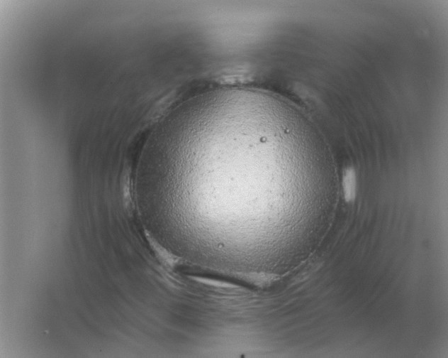 X0000063461444200602031821