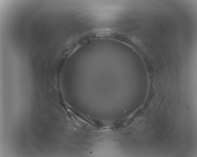 X0000063461445200602031821