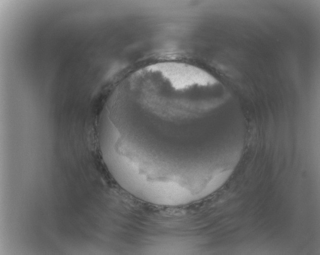 X0000063461446200602031821