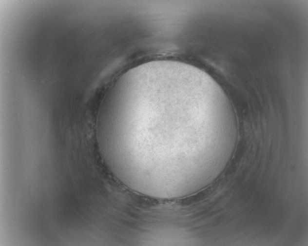 X0000063461447200602031821