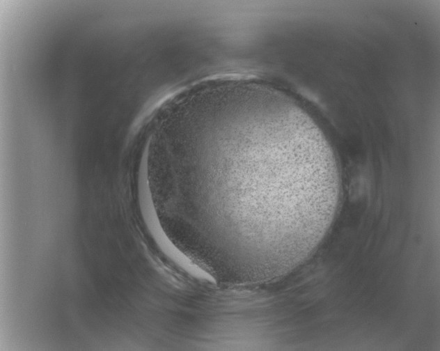 X0000063461448200602031821