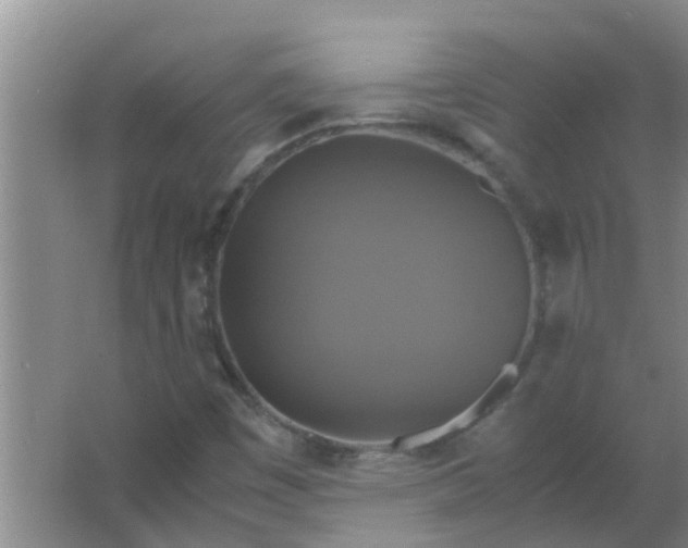 X0000063461449200602031821