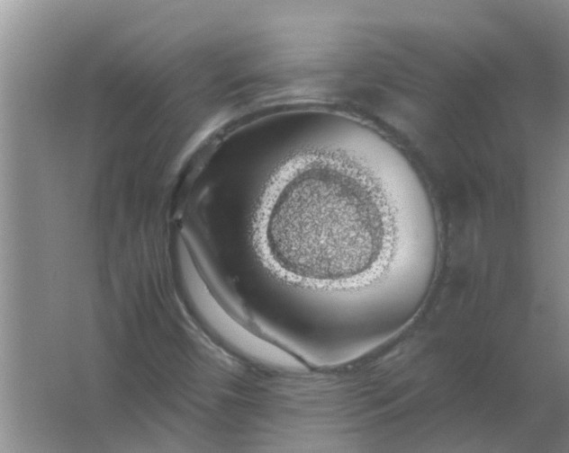 X0000063461450200602031821