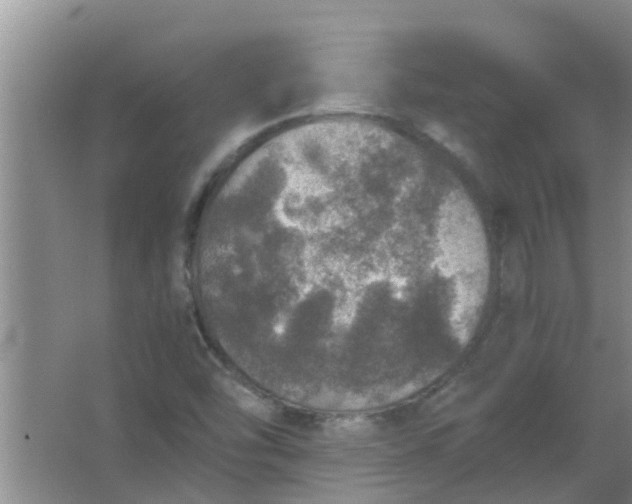 X0000063461454200602031821