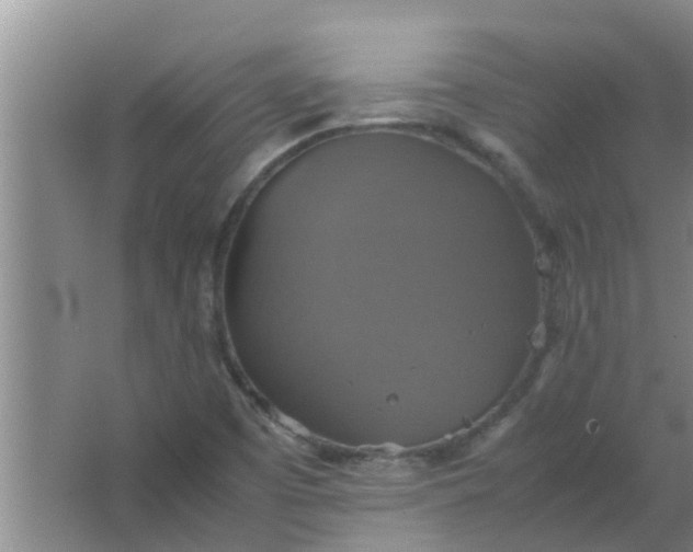 X0000063461457200602031821