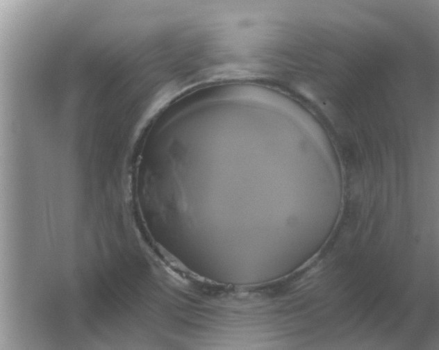 X0000063461459200602031821