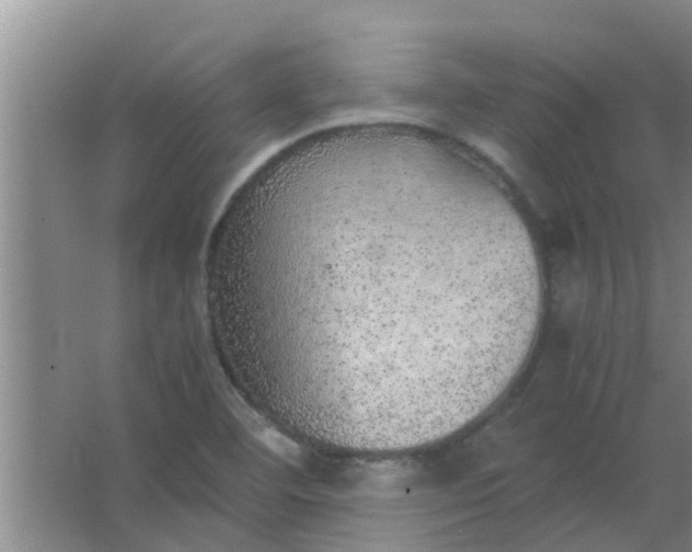 X0000063461460200602031821