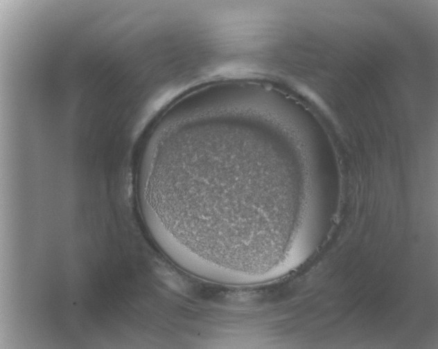 X0000063461461200602031821