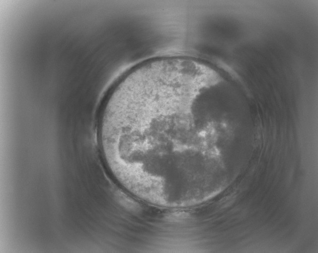 X0000063461462200602031821