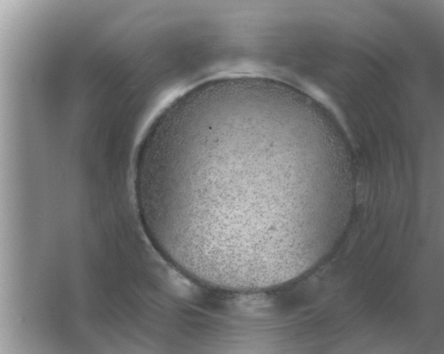 X0000063461464200602031821