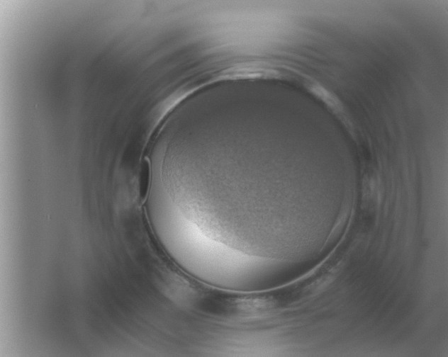 X0000063461465200602031821