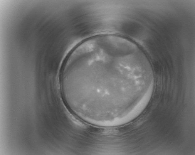 X0000063461466200602031821