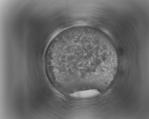 X0000063461467200602031821