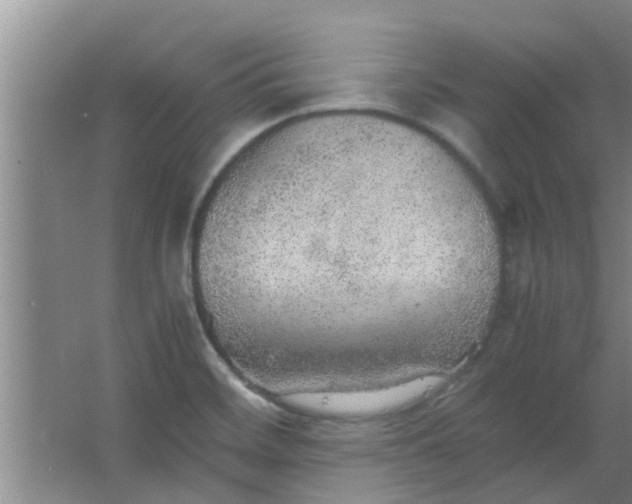 X0000063461468200602031821