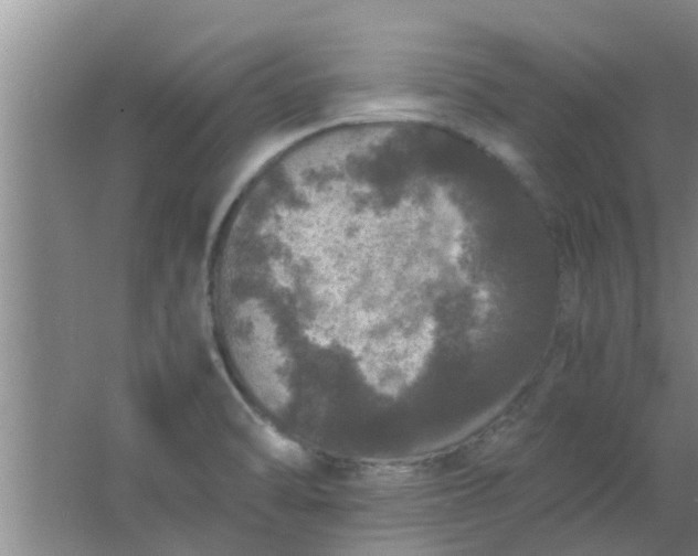 X0000063461470200602031821