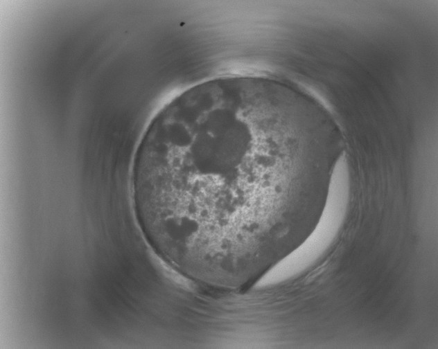 X0000063461471200602031821